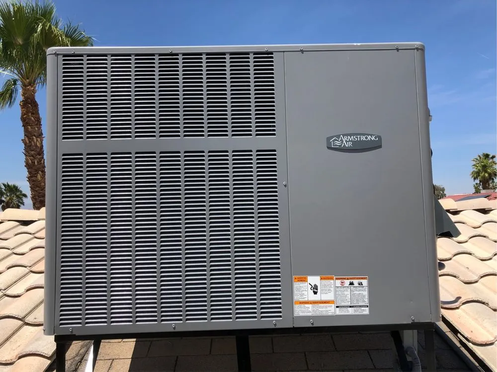 Slide of Snow Frosty