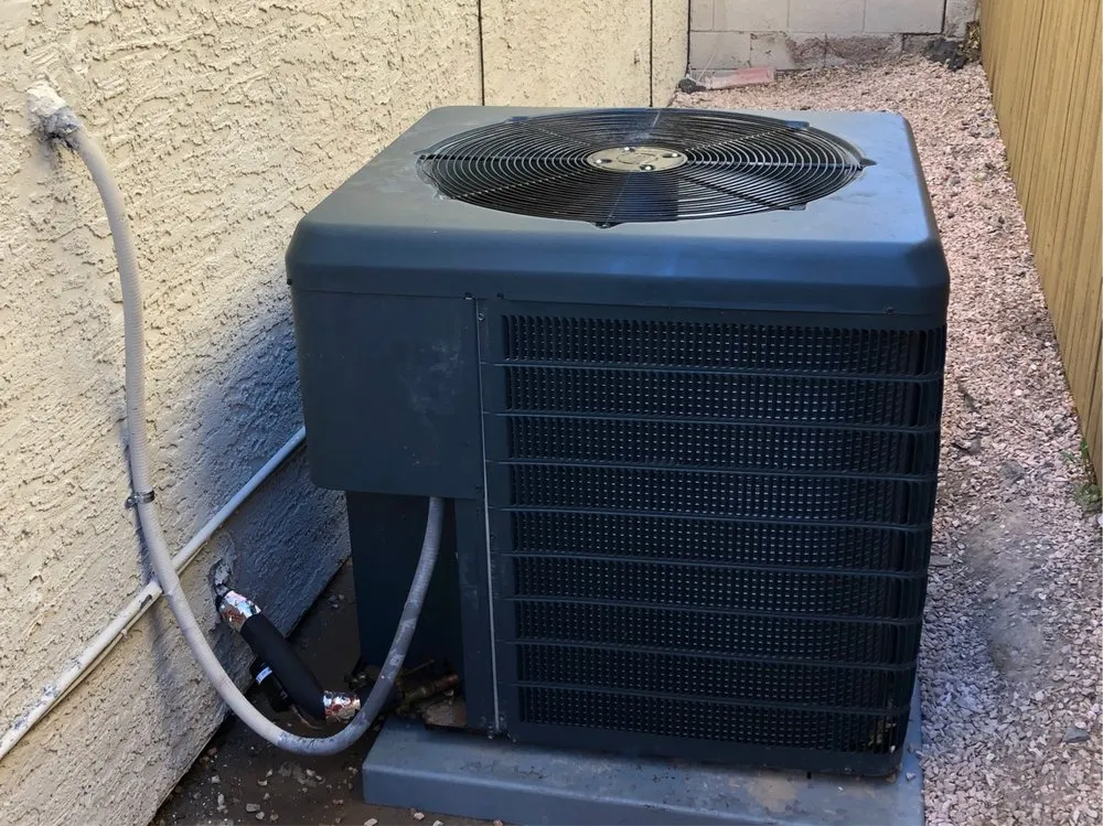 Slide of Snow Frosty