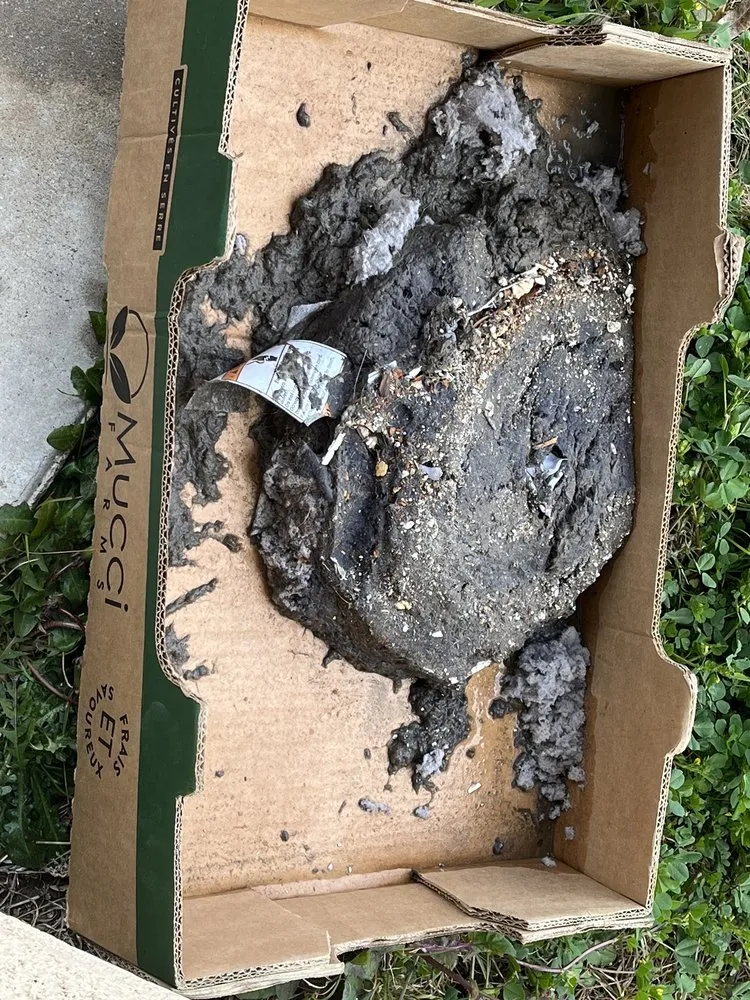 Slide of So-Cal Duct Brothers