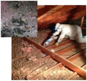 Slide of So Cal Remodeling