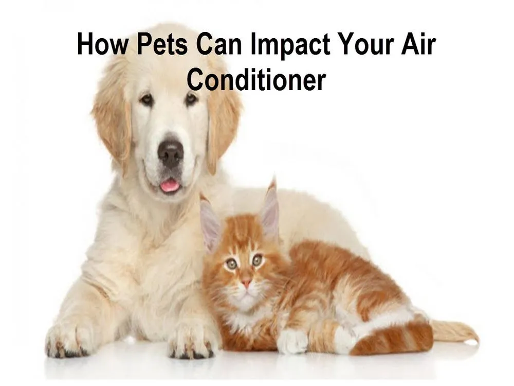 Slide of So Cal Services