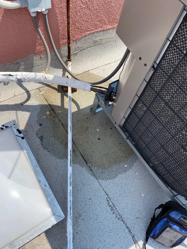 Slide of SoBellas Home Services El Paso