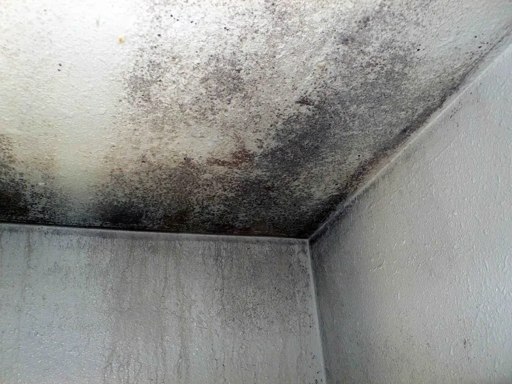 Slide of Sol Energy Partners