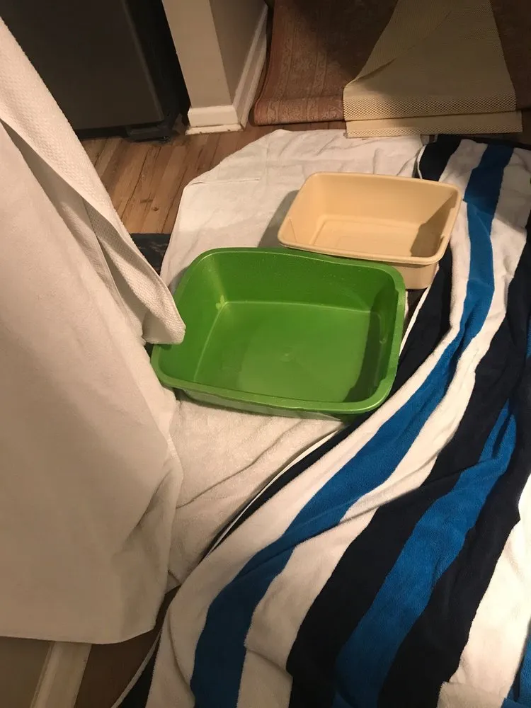 Slide of Solar Bear Services