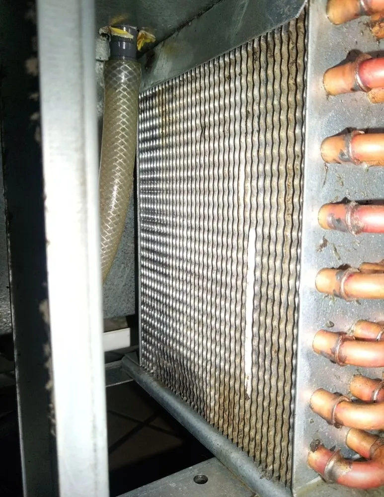 Slide of Sorvillo Service