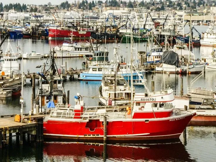 Slide of Sound Specialized Services