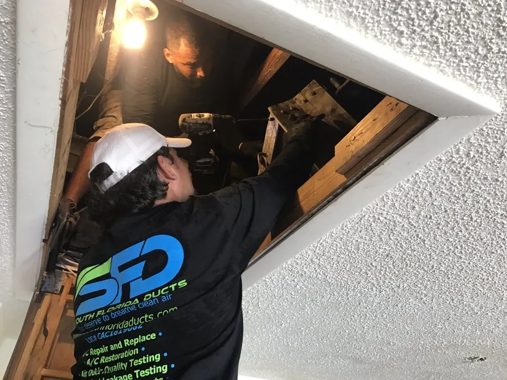 Slide of South Florida Ducts