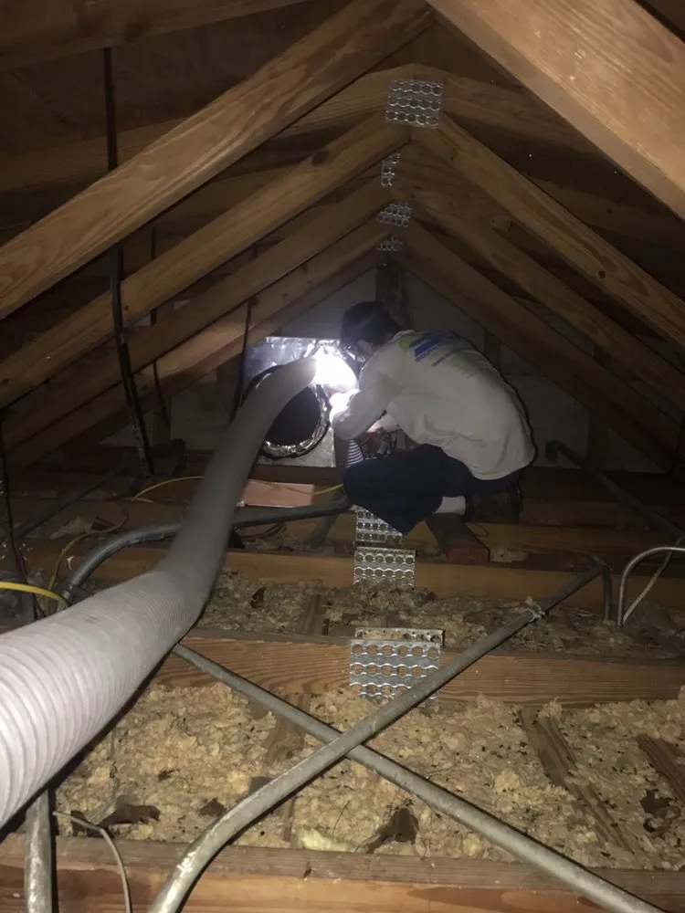 Slide of South Florida Ducts