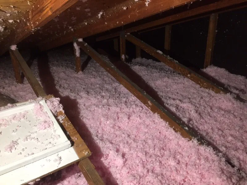 Slide of South Florida Ducts