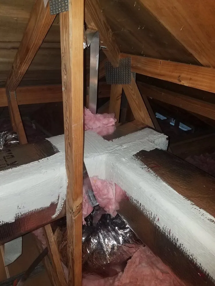 Slide of South Florida Ducts