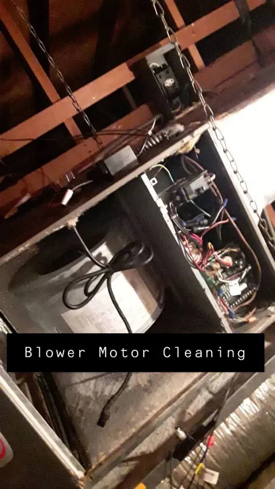 Slide of South Florida Evolutionzzz