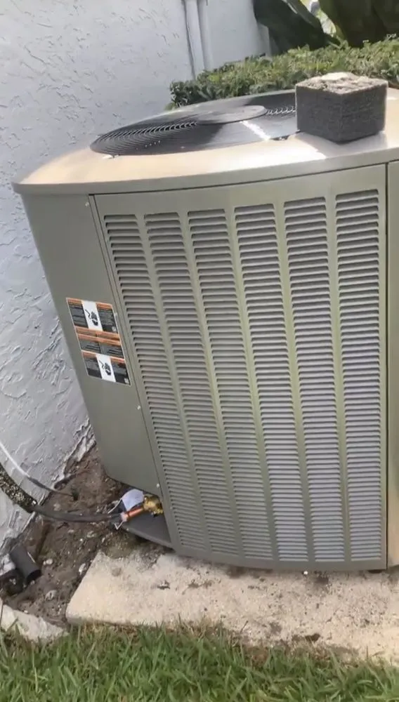 Slide of South Florida Evolutionzzz