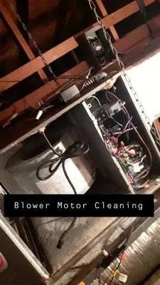 South Florida Evolutionzzz Logo