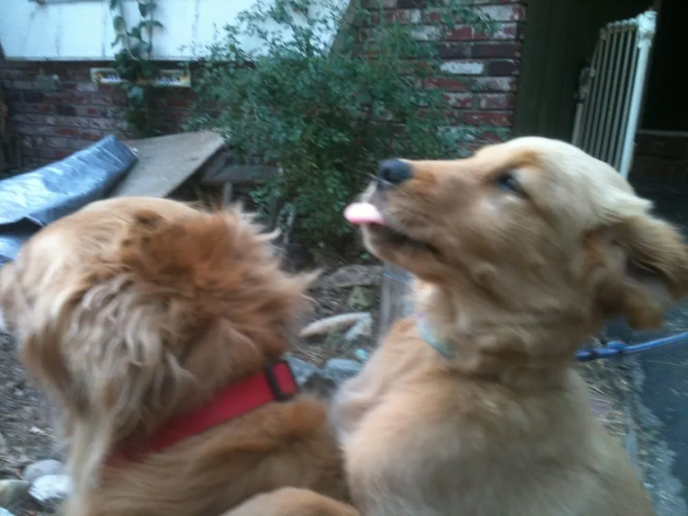 Slide of South Shore Plumbing and Heating