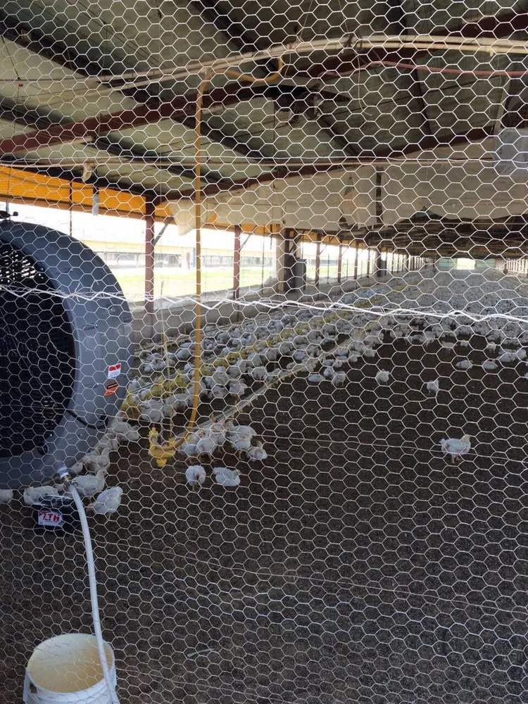 Slide of Southbee Corp