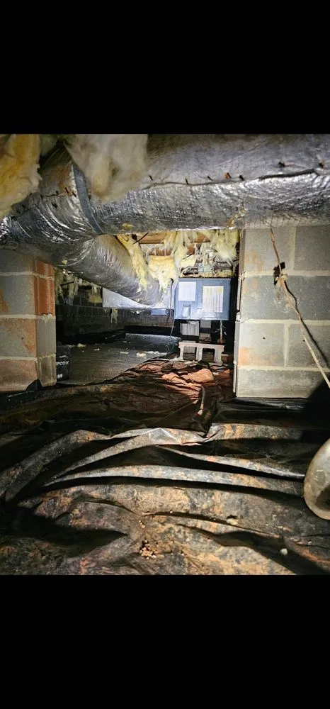 Slide of Southeastern Allergy Remedies