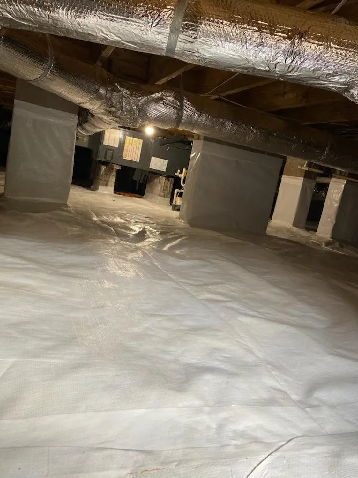 Slide of Southeastern Allergy Remedies