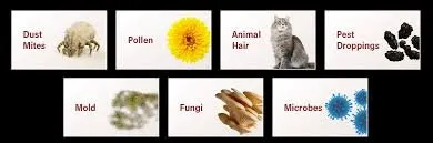 Slide of Southern Air Duct Cleaning