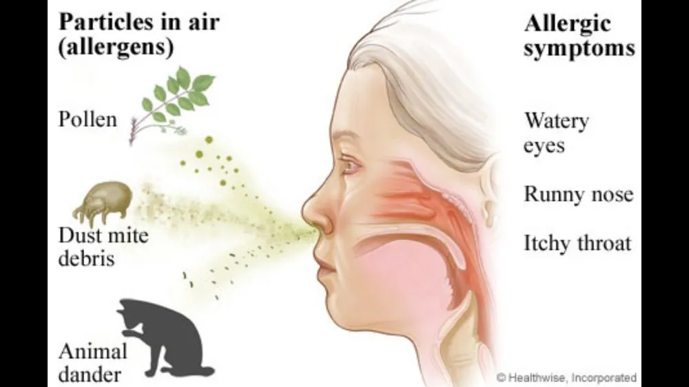 Slide of Southern California I.A.Q