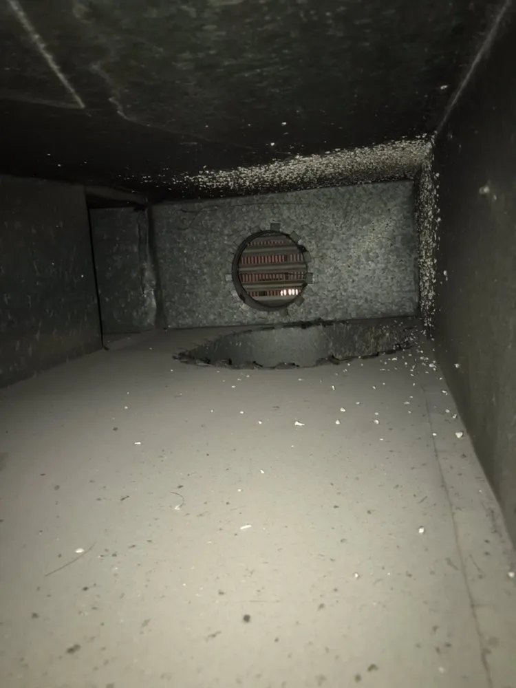 Slide of Southern California I.A.Q