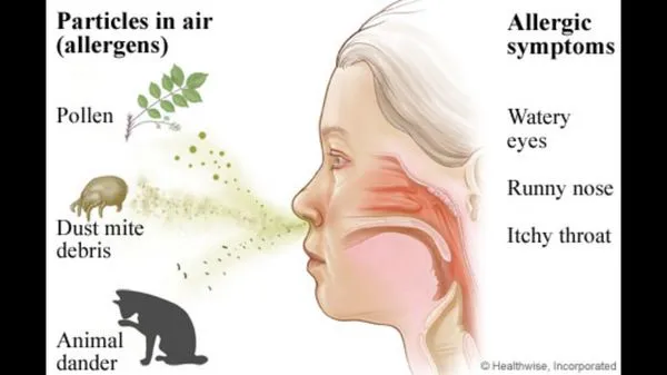 Southern California I.A.Q Logo