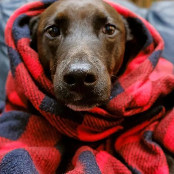 Slide of Southern Heating & Cooling