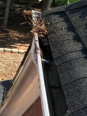 Southern Hospitality Logo