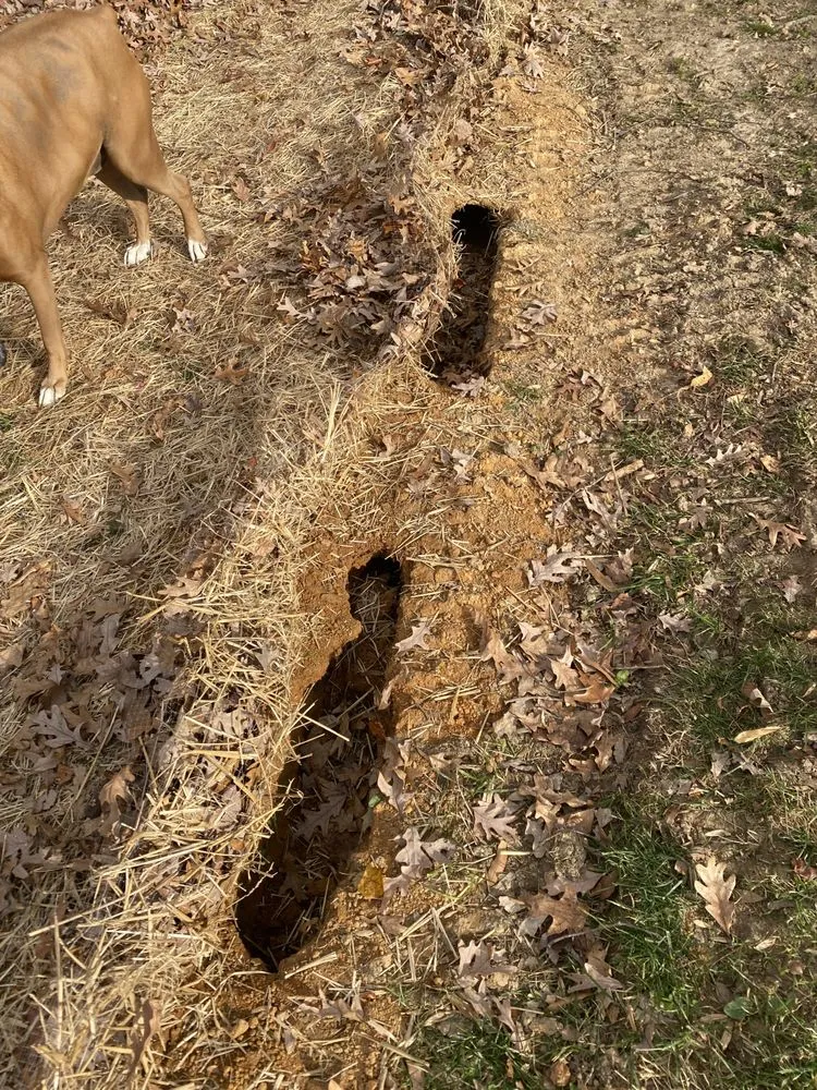 Slide of Southern Trust Home Services