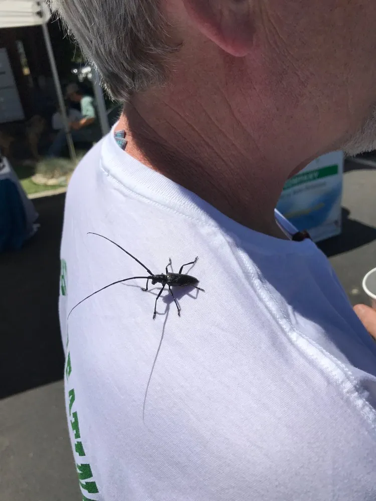 Slide of Southwest Heating