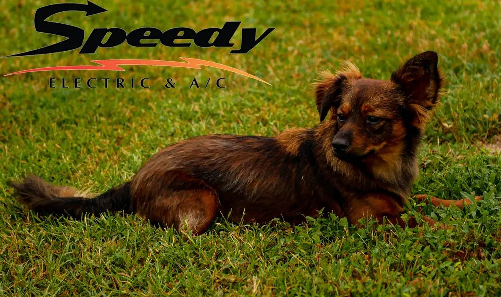 Slide of Speedy Electric and A/C