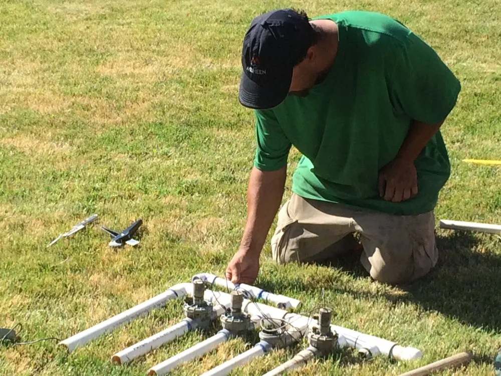 Slide of Speedy Lawn Service