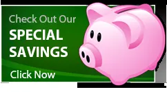 Slide of Speedy Rooter