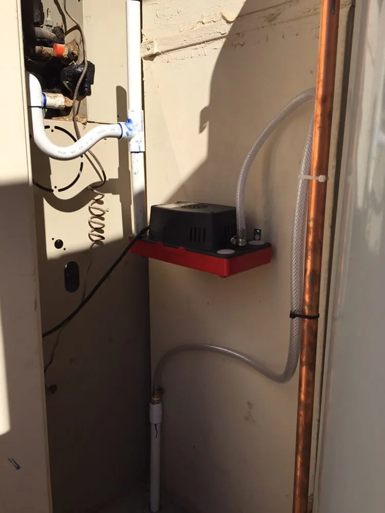 Slide of Speedy's AC