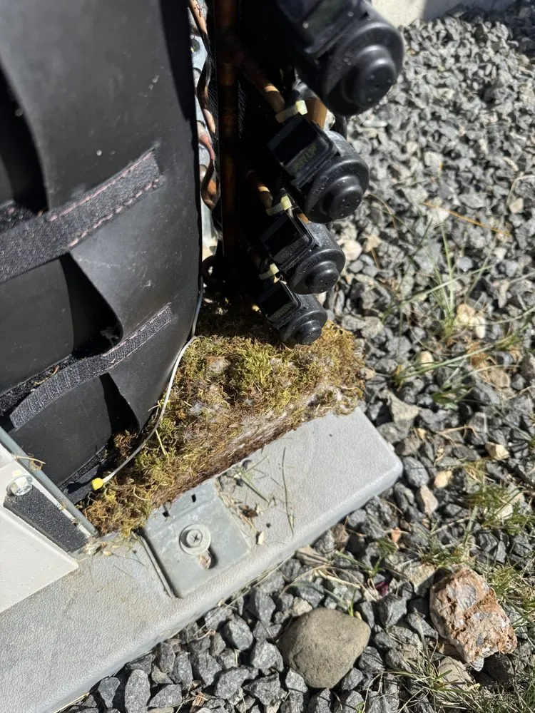 Slide of Split Solution