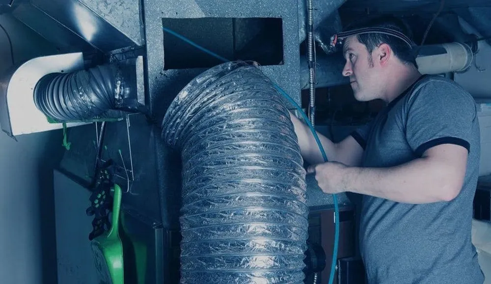 Slide of Spotless Ducts