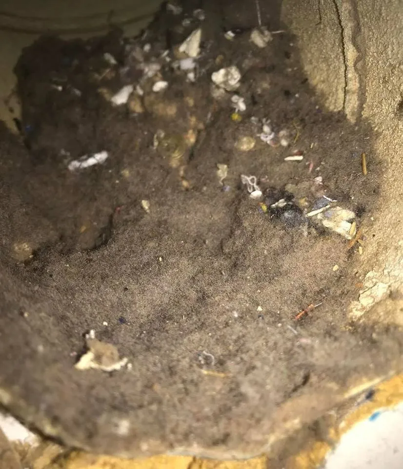 Slide of Spotless Ducts