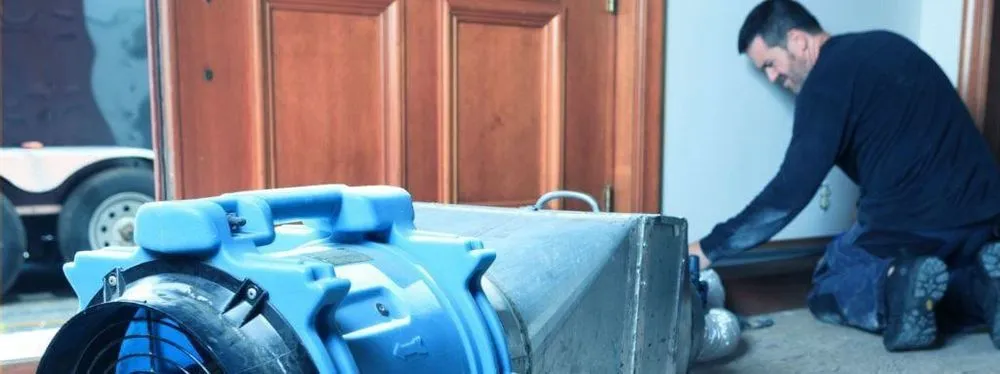 Slide of Spotless Ducts