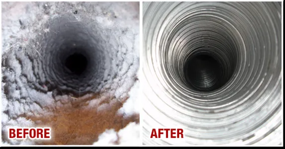 Slide of Spotless Ducts