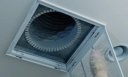 Slide of Spotless Ducts