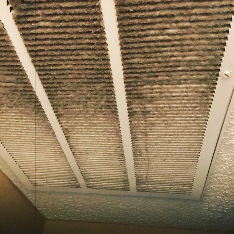 Slide of Spotless Ducts