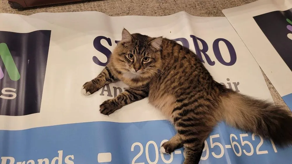 Slide of SPS PRO Furnace & Appliance Repair