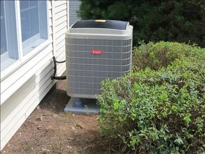 Slide of Staley Mechanicals