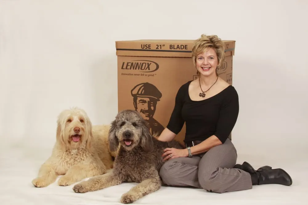 Slide of Stanfield Air Systems