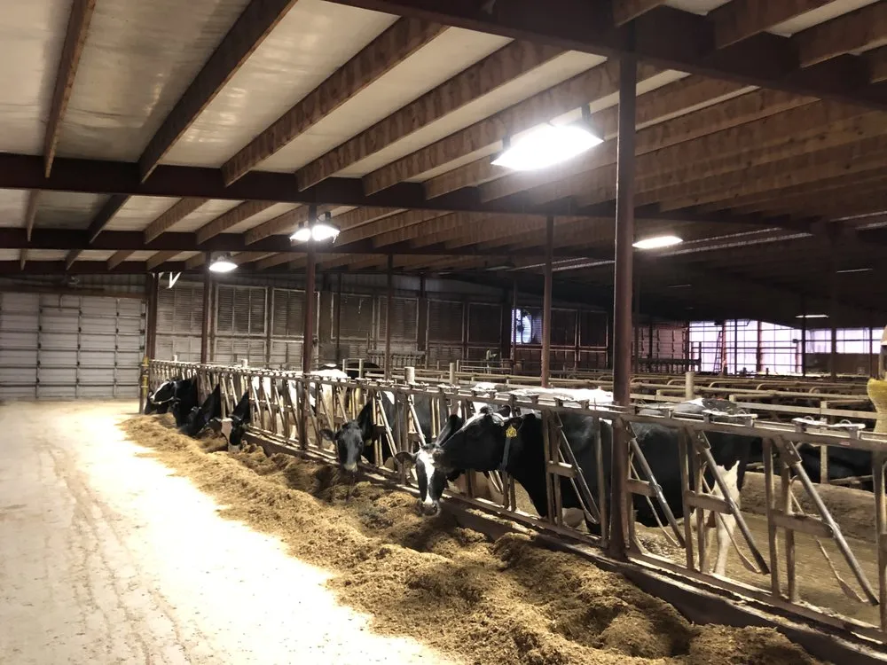 Slide of Staples Energy