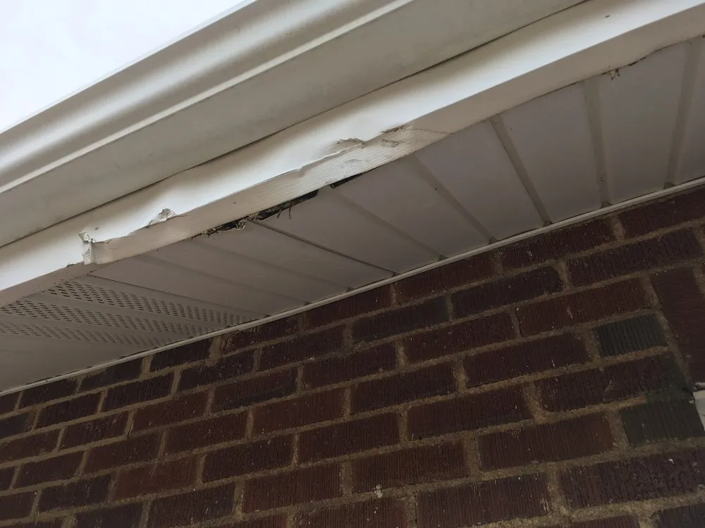 Slide of Star Appliance and HVAC