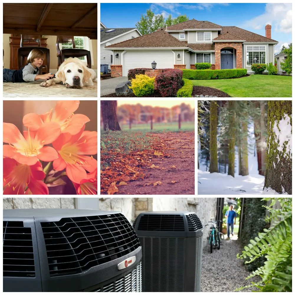 Slide of Star City Heating, Cooling, Electrical & Plumbing
