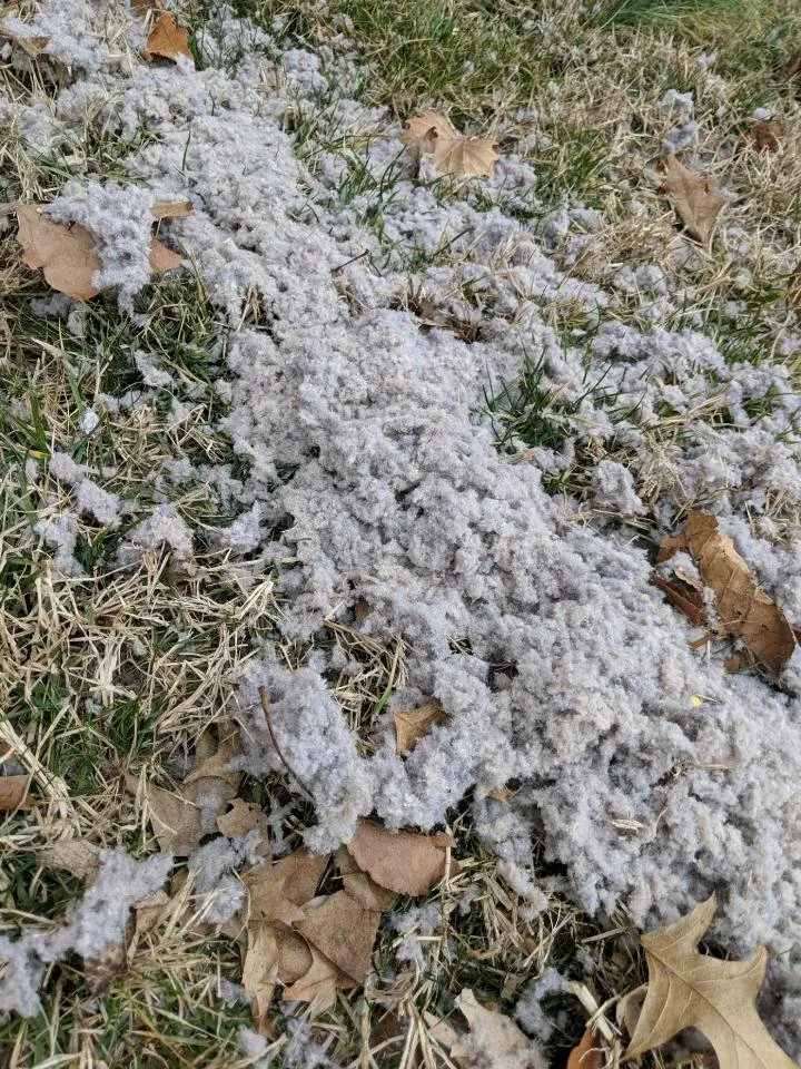 Slide of Star Heating & Air Conditioning