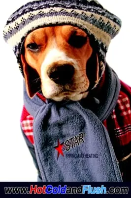 Star Piping & Heating