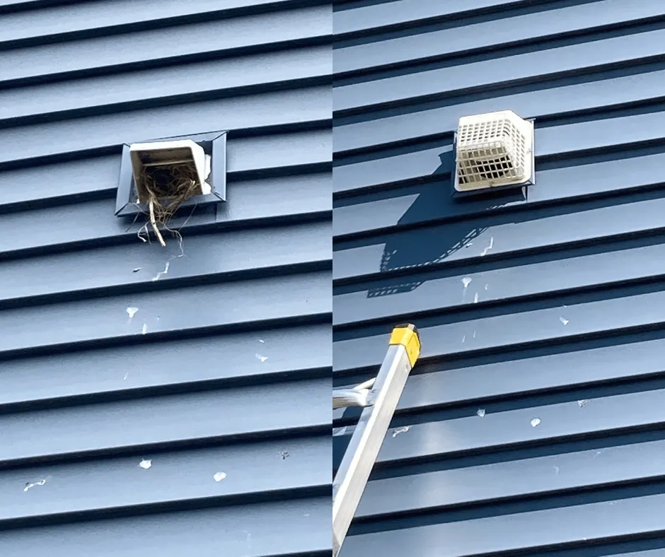 Slide of Star Quality Air Duct Cleaning