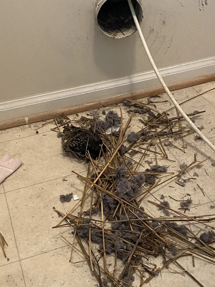 Slide of Star Quality Air Duct Cleaning